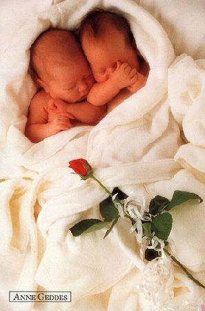 il sont trop mimi!!!!!!!!!!!!!!!!!!!!!!!!!!!!